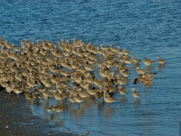 USA_Mexico2006-2007-057